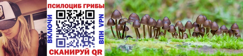Псилоцибиновые грибы Psilocybe  Буйнакск 